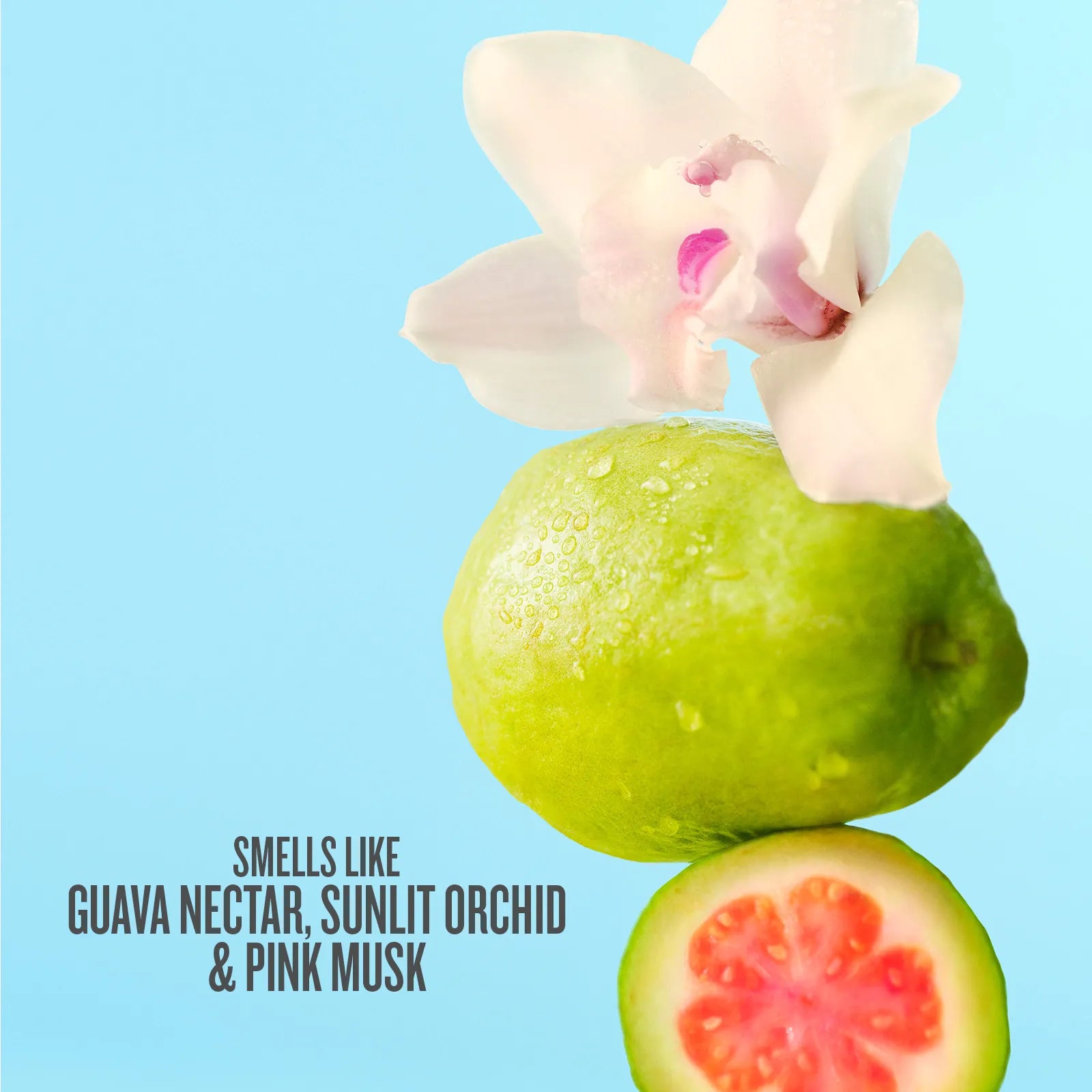 Cheirosa 48 Perfume Mist - Image 2